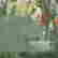 item-130434306=14