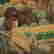 item-130434307=7