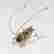 item-130434323=8