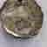 item-130434333=4