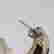 item-130434343=3