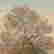 item-130439370=7