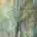 item-130439373=5