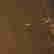 item-130439378=8