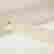 item-130439395=17