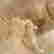 item-130747882=16