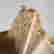 item-130747882=6
