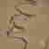 item-130747891=6