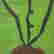 item-130747896=8