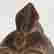 item-130747946=4