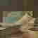item-130748565=10