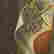 item-130748565=5