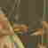 item-130748565=6