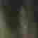 item-130748566=12
