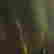 item-130748566=9
