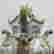 item-130937136=4