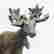item-130937569=5