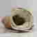 item-130937579=8