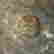 item-130937773=2
