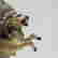 item-130937776=6