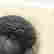 item-131165823=7