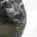 item-131165842=9
