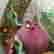 item-131287118=8