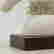 item-131287120=11