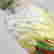 item-131287152=4