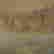 item-131297866=4