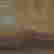 item-131297866=7