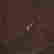 item-131297880=13