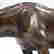 item-131297882=7