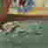item-132782795=2