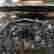 item-133175061=11