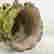 item-133810734=17