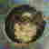item-135757916=11