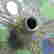 item-135757916=17