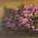 item-135757979=10