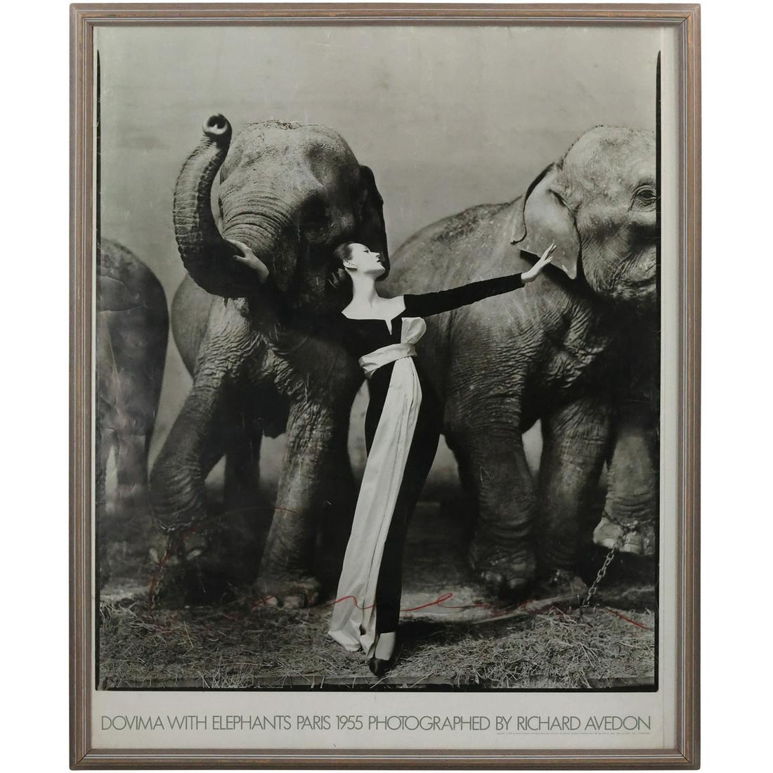 額装済/Dovima With Elephants/リチャードアベドン/ポスター Dovima with the Elephants (V) – Motifs and Prints