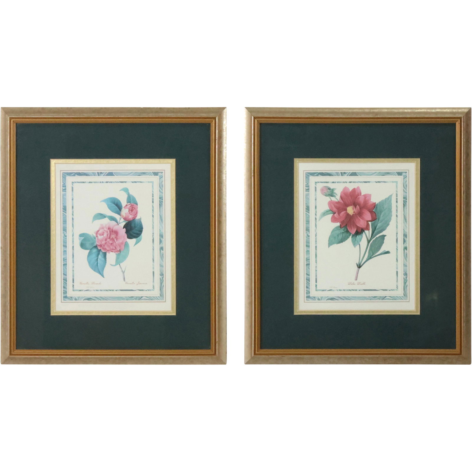 [2] Vintage Framed Botanical Prints (1 of 20)