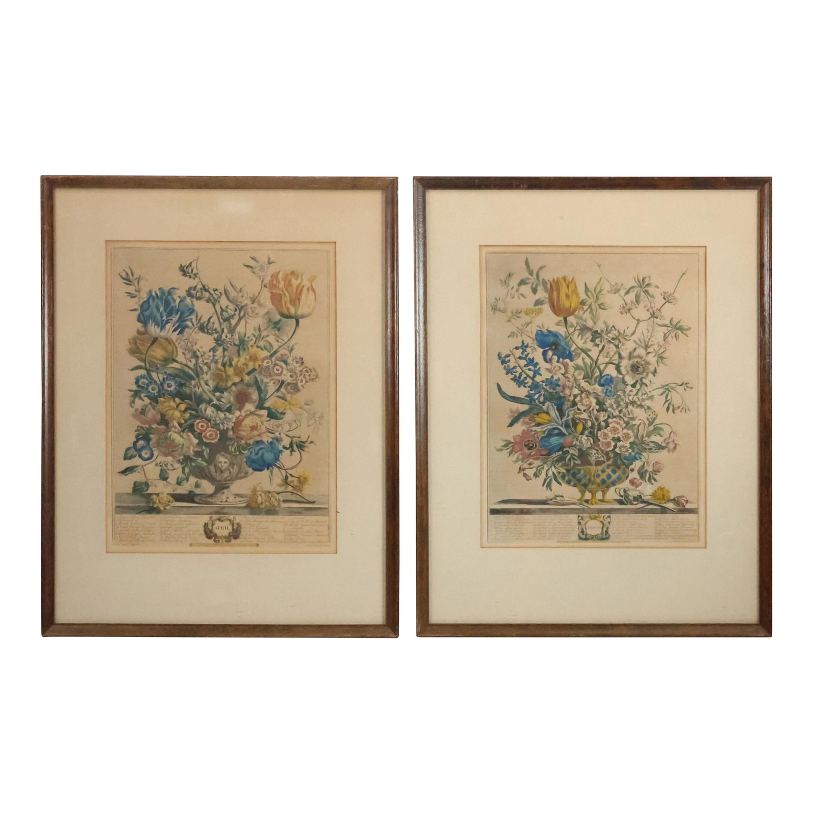 [2] Framed Color Lithographs Monthly Botanical Flowers April and February (1 of 20)