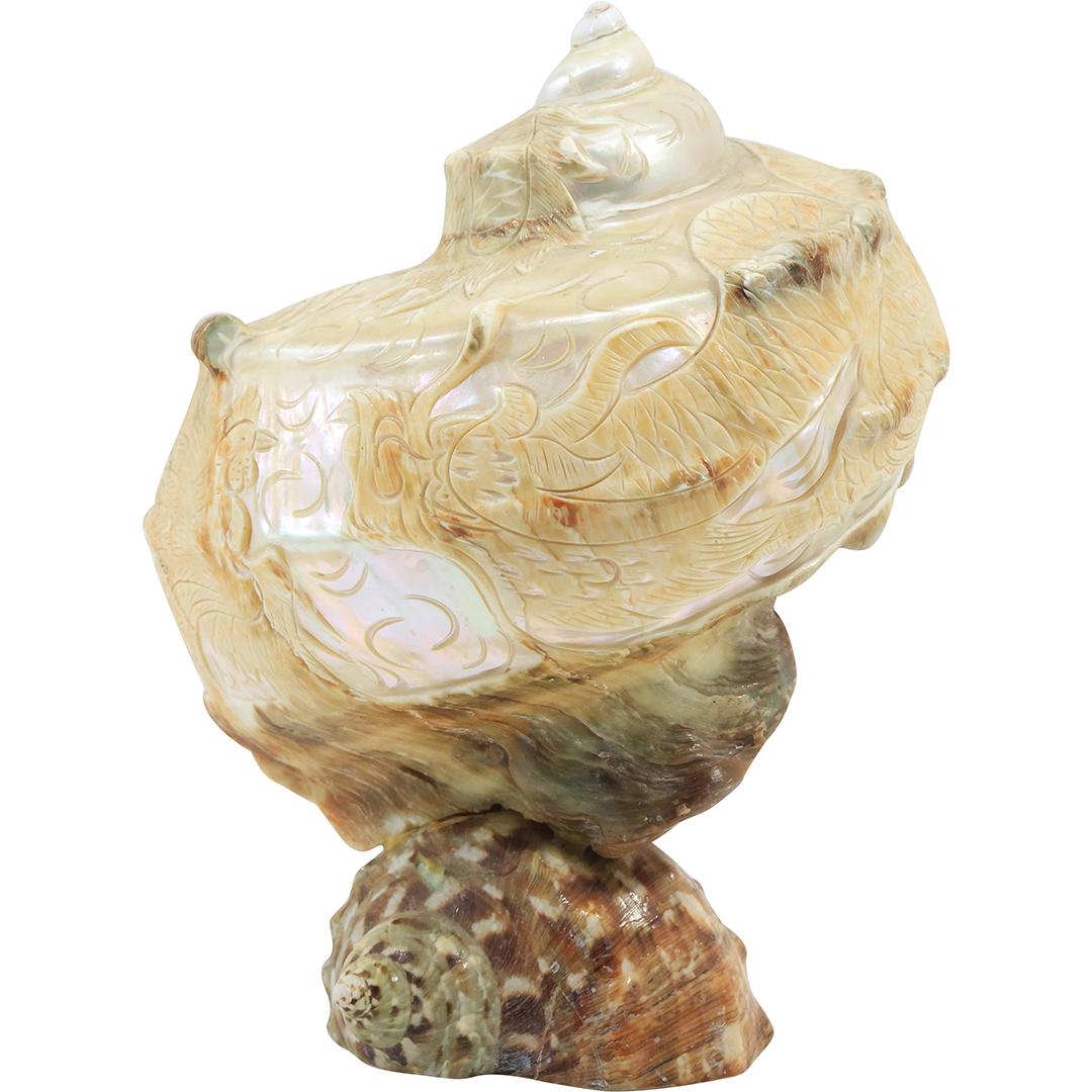 Hand Tooled Decorated MOP Conch Shell Sculpture 10 inches height: Hand Tooled Decorated MOP Conch Shell Sculpture 10 inches height. size: 10 in. x 7 in. THIS AUCTION HAS SPECIAL PICK UP DATES SPECIAL PICK UP DATES AND TIME-LINE, W/ EXTENDED PICK UPS. 5/22 Mon: Aucti