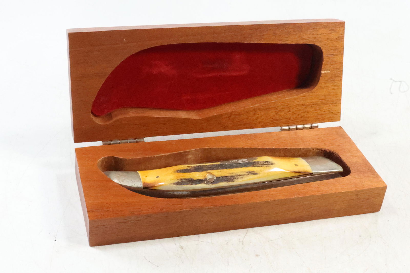 Case XX Bull Dog USA Pocket Knife in Original Fitted Wood Box 5 1/2 in. x 1 23/4 in. (1 of 10)