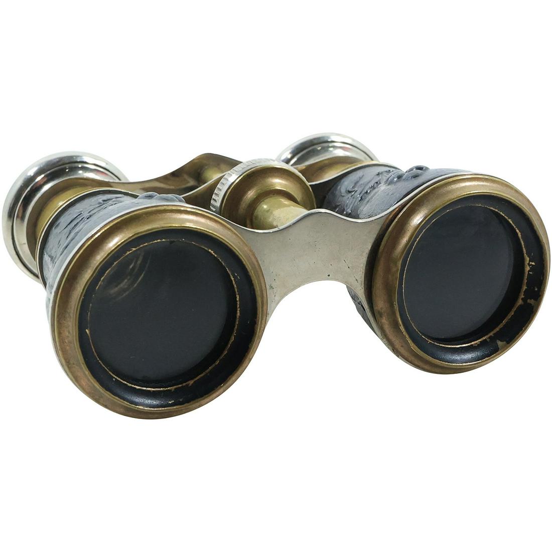 Sterling Silver and Brass Vintage Opera Glasses Sterling Birds and Berries 3 3/8 in. x 4 in. (1 of 16)