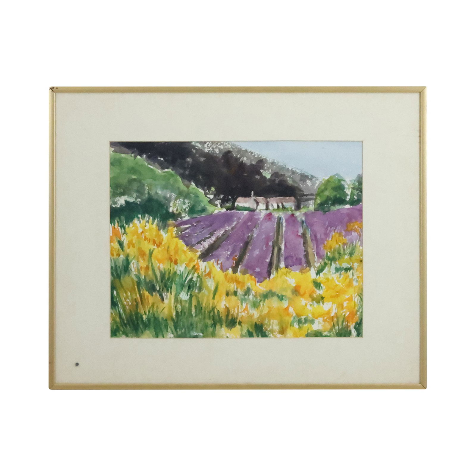 Patricia W Straus, Watercolor Painting, Field of Wild Flowers, Framed (1 of 11)