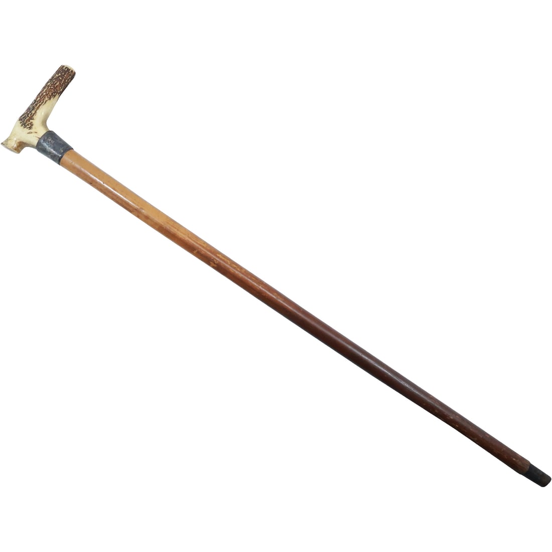 Vintage Walking Cane with Horn Handle and Silver Collar 34 inches length (1 of 15)