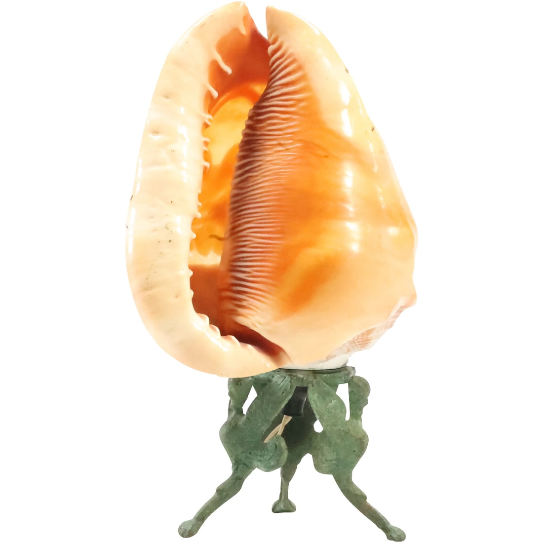 Early 1900's Hand Carved Cameo Helmet Sea Shell Lamp 8.5 inches height x 5 in. wide (1 of 19)