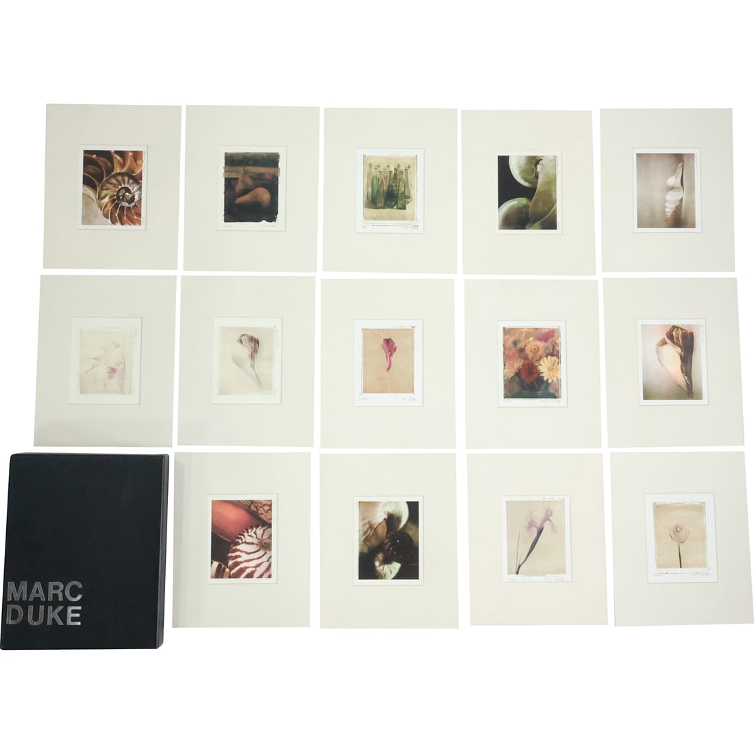 Marc Duke (AMERICAN / FLORIDA, 20th/21st century) collection of photograph prints depicting various (1 of 19)