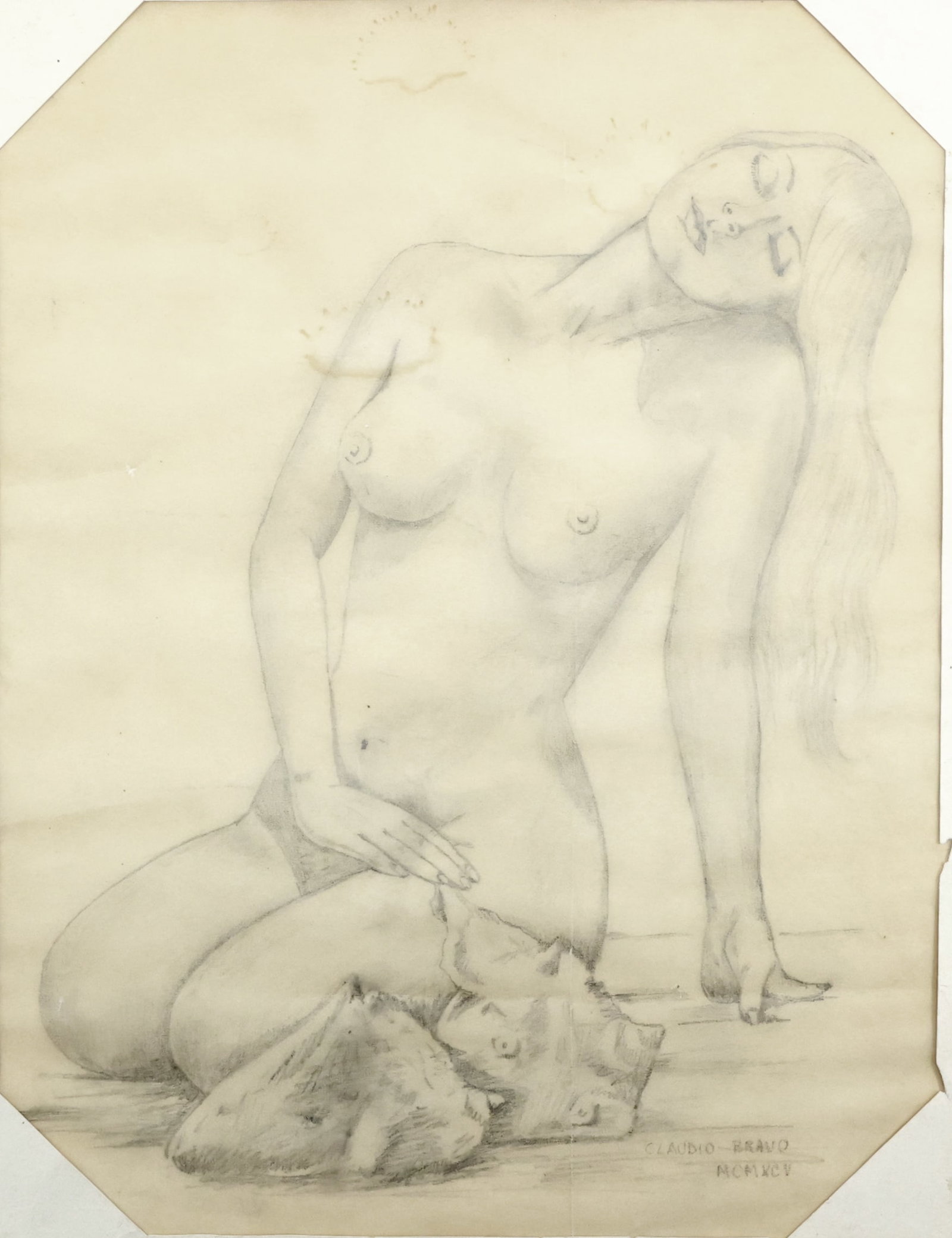 Claudio Nelson Bravo Camus Nude Drawing On Tinted Paper: Delight in the nuanced beauty of Claudio Nelson Bravo Camus' drawing, a captivating depiction of a relaxed female nude kneeling beside two conch shells. Executed with meticulous detail on tinted paper